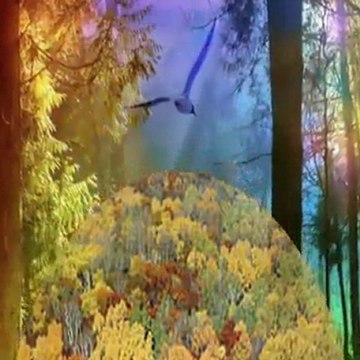 SENİNLE BAŞLADI BİTSİN SENİNLE