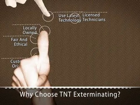 #1 Best Pest Control Cleveland OH Ohio