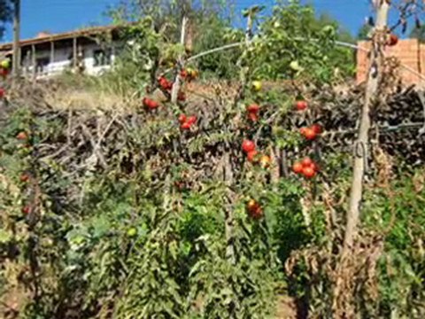 Denizli ili Tavas İlçesi -Kayaca Köyü -