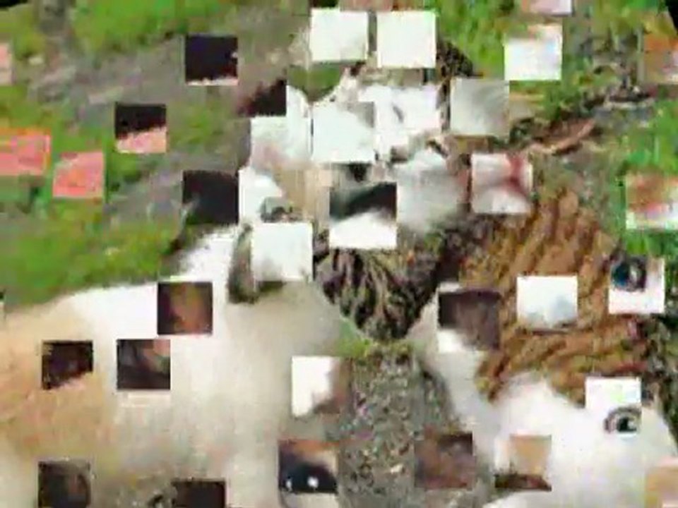 OXXXXI´s  NEW YEAR  PUPPY LOVE