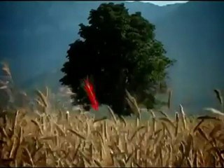 Ziraat Bankası Bosna - Bosnia