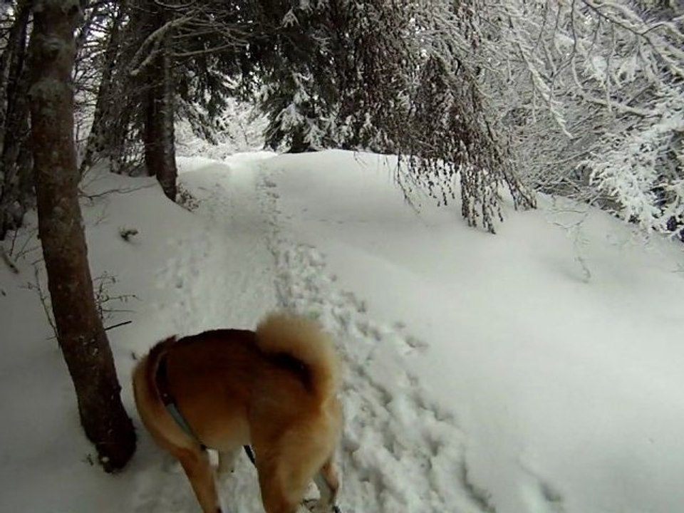 2012-01-08 - Bauges Crolles - 01