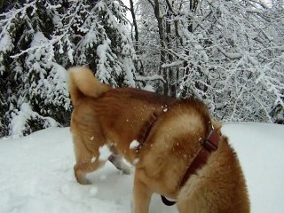 2012-01-08 - Bauges Crolles - 02