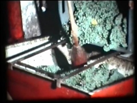 Extraits St Martin à l'heure du raisin (1975) Famille Lelarge