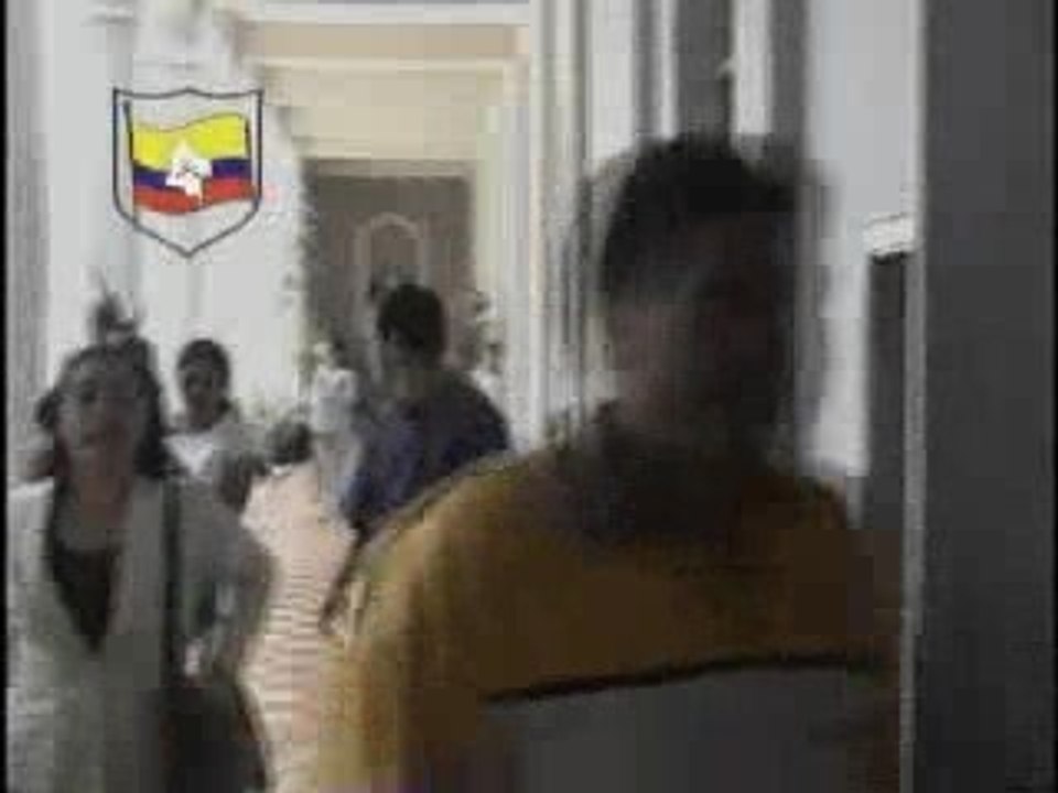 Documento sobre las FARC