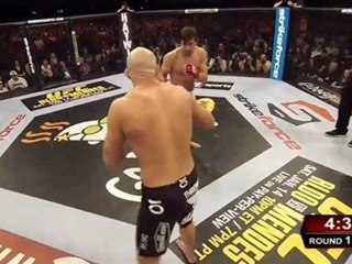 Luke Rockhold vs Keith Jardine  Highlights