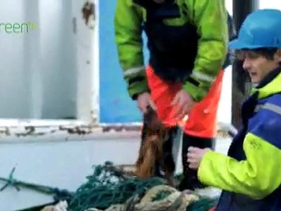 Meet the Fishermen