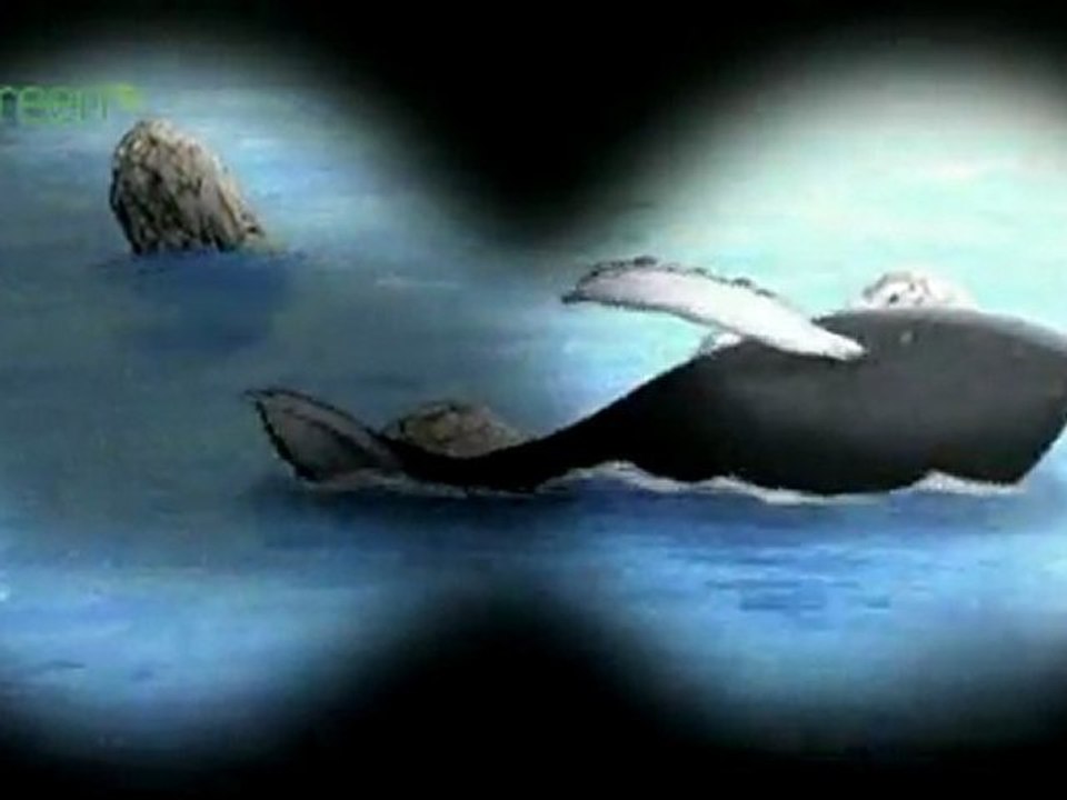 Man and Whale