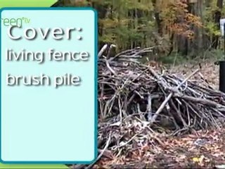 Certified Wildlife Habitats - Shelter
