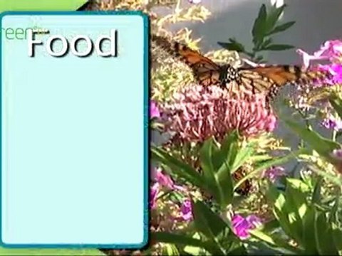 Certified Wildlife Habitats - Why Garden for Wildlife?