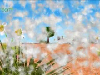 VSO Teachers Got Talent