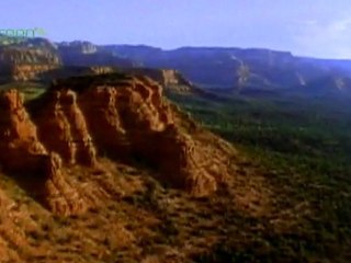 Changing the Forecast for Wildlife - Earth Friends Foundation