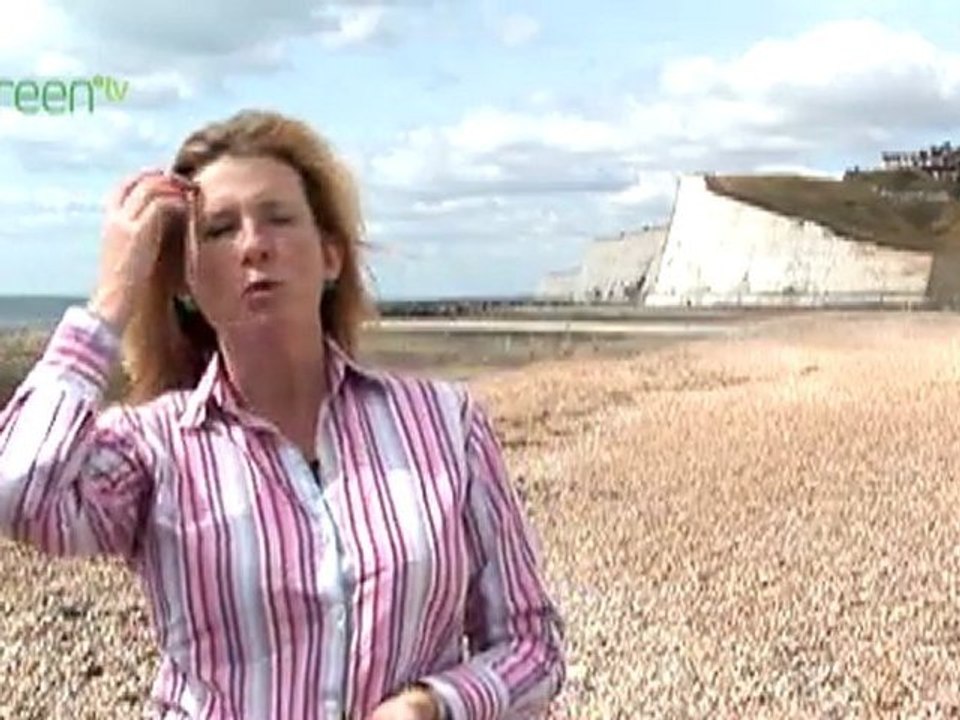 Working for cleaner beaches