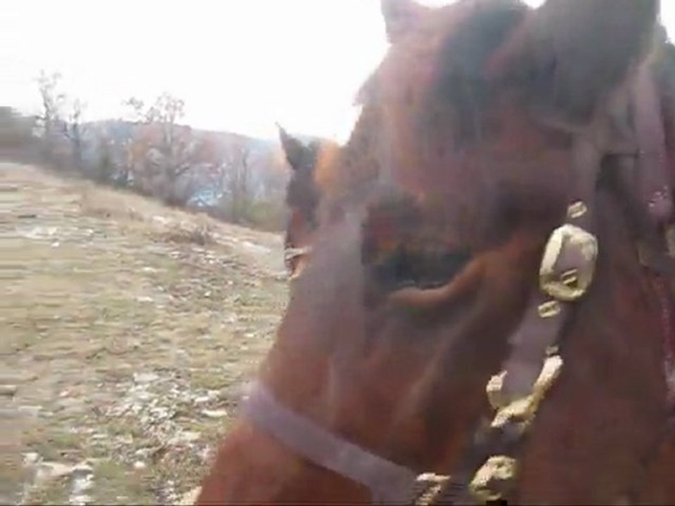 Méli-Mélo de vidéos du voyage