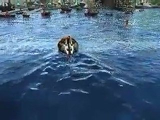 Grandia 2 [cinématique] "Peaceful"