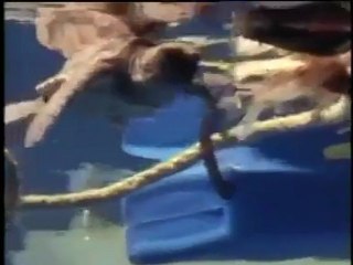 Okyanus Gezginleri Bölüm-4 (4/4)