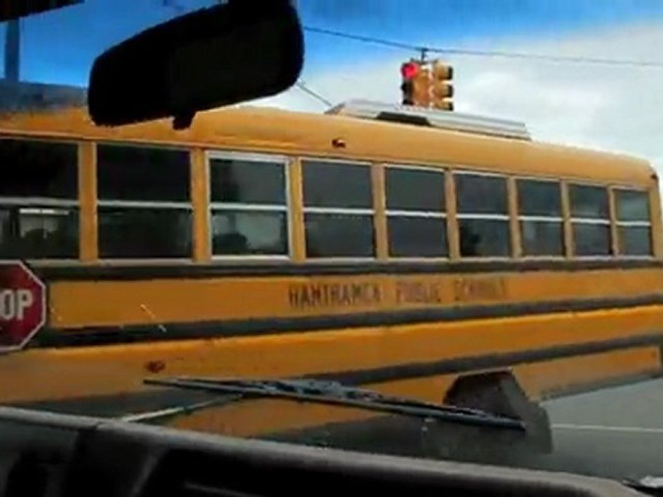 Hantz Farms: Detroit's Saving Grace