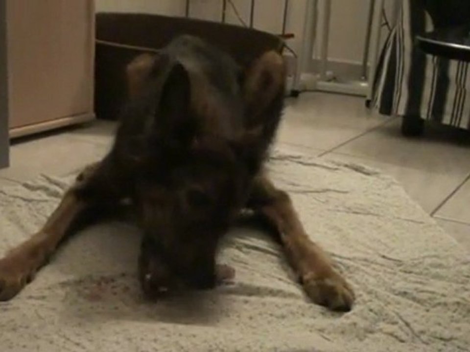 zita vs poulette