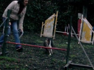 20120108 entrainement maison excel little blue