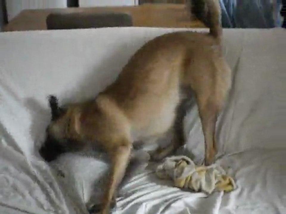 Gala qui sort de la douche