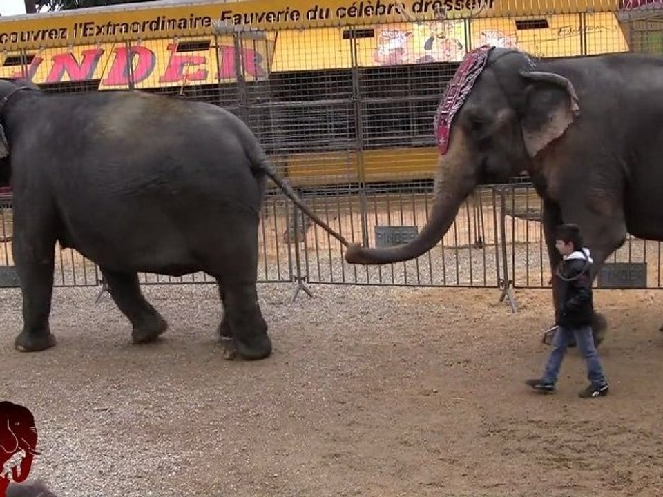 Manifestation contre le cirque PINDER (08.01.2012)