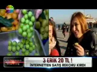 ERK 8 O WWWOLAYWEBCOM