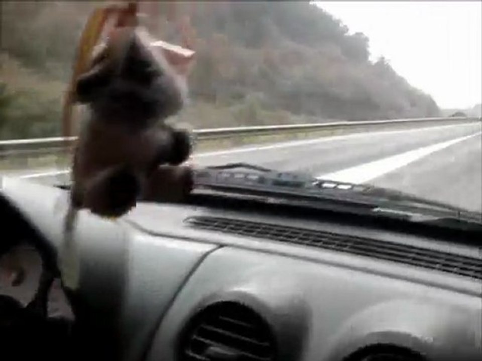 ENTRENAMIENTOS DESAFIO 12