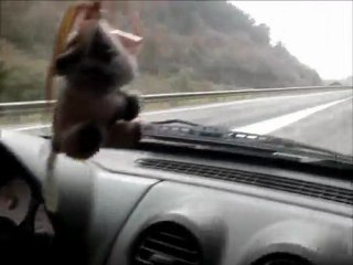 ENTRENAMIENTOS DESAFIO 12