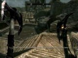 Epopée [Barbe Mousse] sur The Elder Scrolls V SKYRIM (Xbox 360)