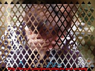 Anxiety Disorder Treatment Exposed