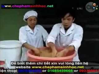 Hướng dẫn sử dụng men vi sinh NN1 để ủ thức ăn tinh cho gia súc, gia cầm 3