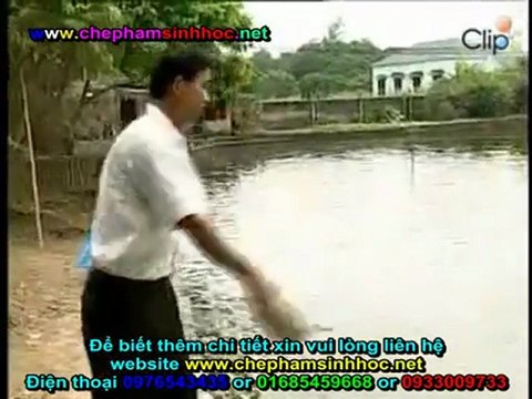 Tác dụng chế phẩm men vi sinh NN1 làm thịt vật nuôi ngon, chắc, vậy nuôi lớn nhanh giảm chi phí thức ăn