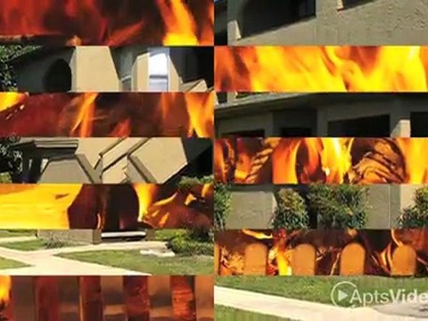 Dymaxion Apartments in San Antonio, TX - ForRent.com