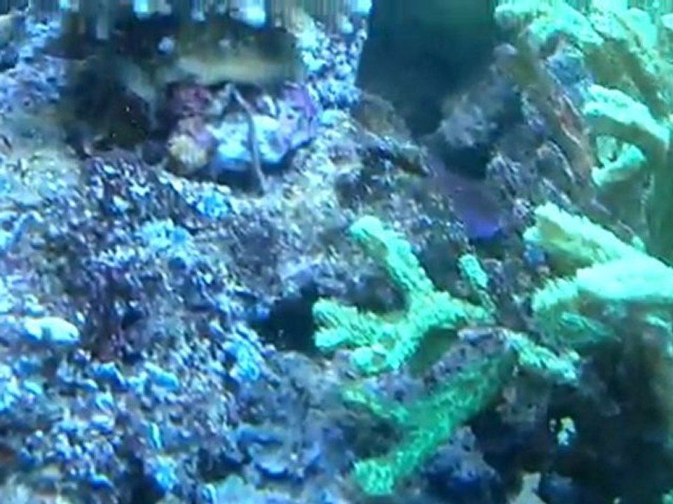 vidéo du bac 8/01/2012