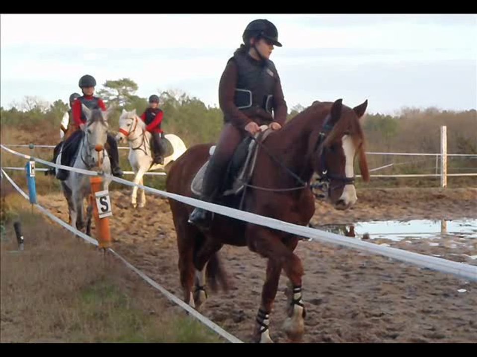 4 Janvier 2012 16h Dressage+Obstacle