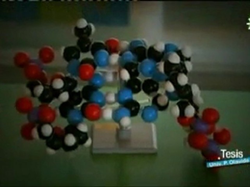 Bioinformatica: Biologia computacional
