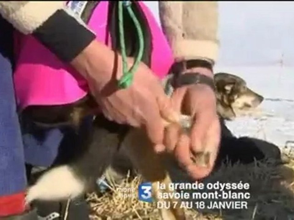 La grande Odyssée