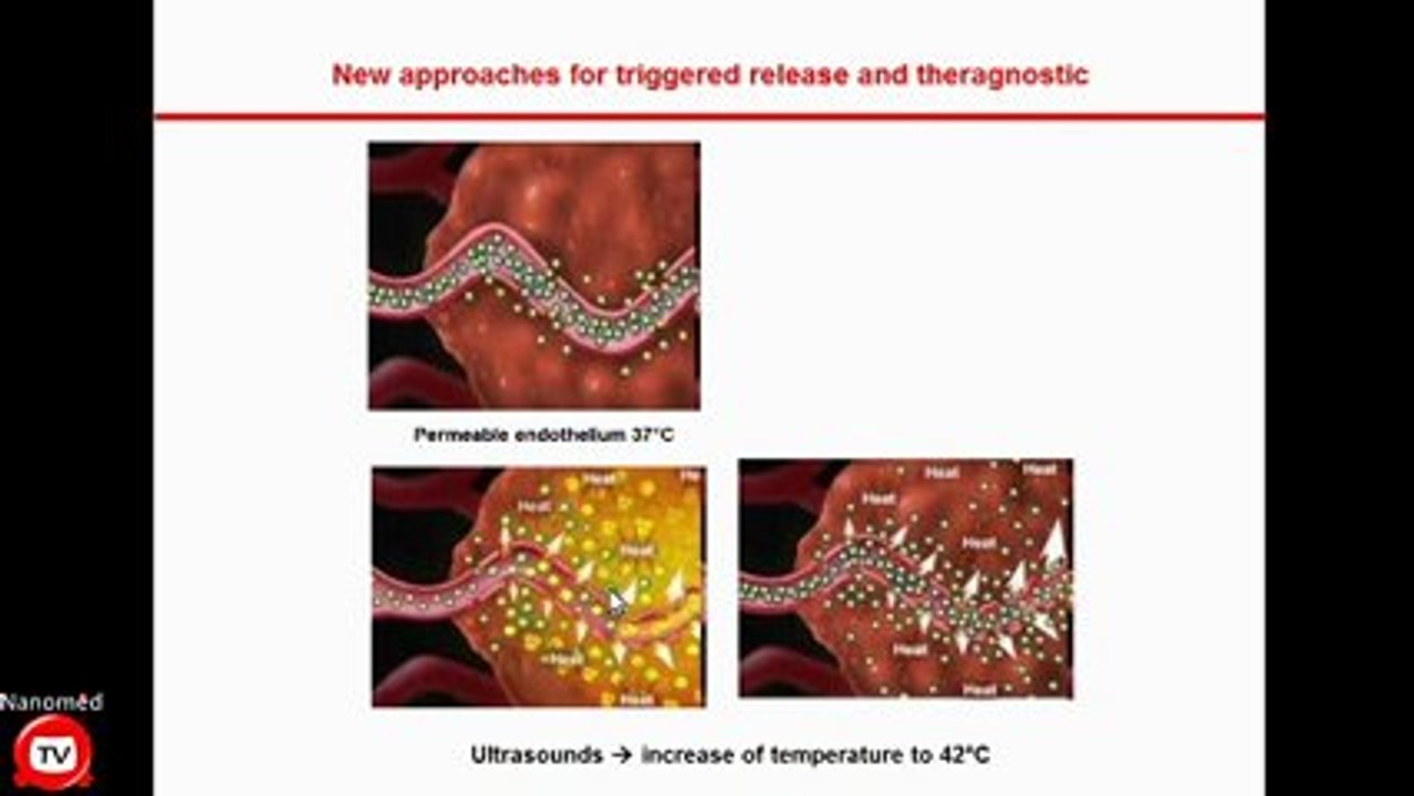 Elias Fattal - Les Nanomédicaments (in French)