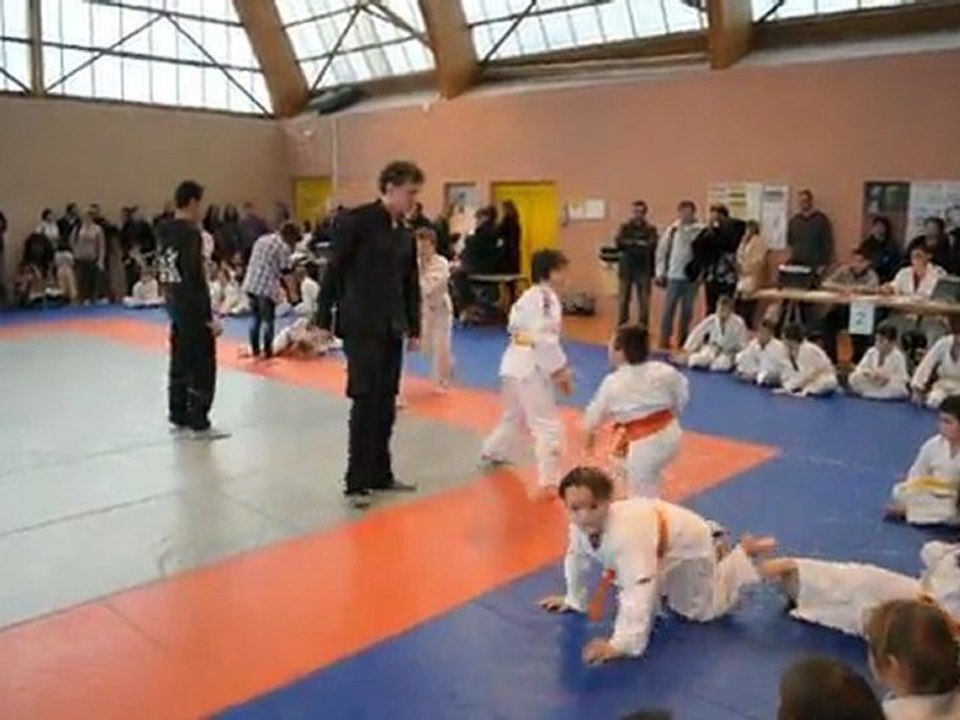 budo