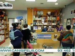 Tienda animales exóticos Barcelona Tienda reptiles Barcelona