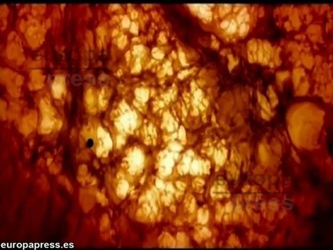 'Melancolía' y Lars Von Trier camino a los Oscar