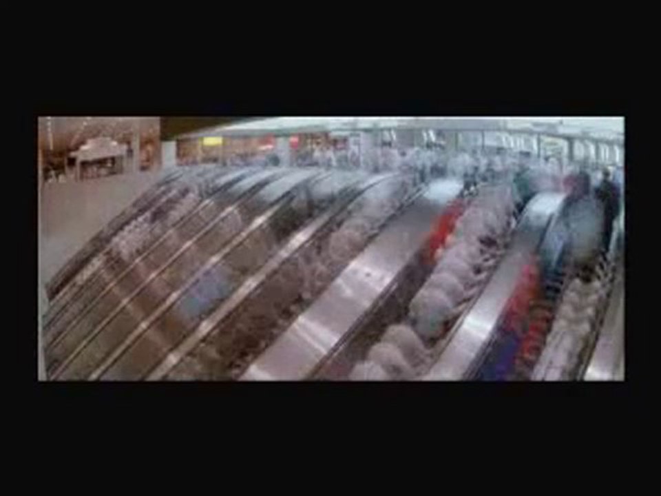 "Evolution" Cinematic Orchestra