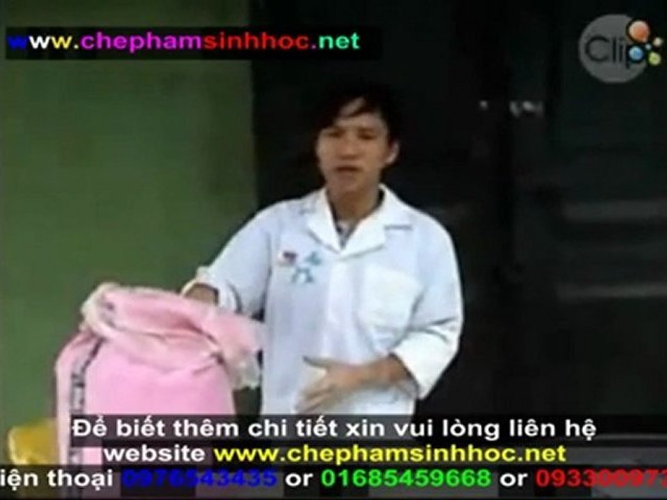 Hướng dẫn sử dụng men vi sinh NN1 để ủ thức ăn tinh cho gia súc, gia cầm full