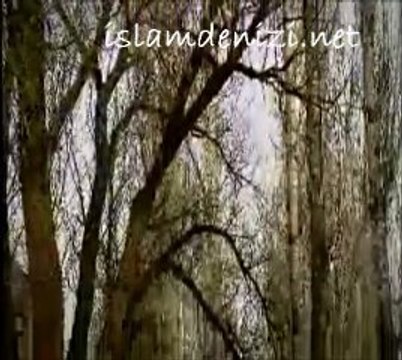 Grup Derman Mükemmel İlahi - islamdenizi.net