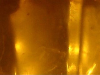 Eggy Serieelbeeld tweede periode