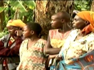 Mountain Gorilla conservation, Uganda