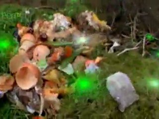 Eco-Pads: Energy-Saving Homes Spoof with Marcus Brigstocke