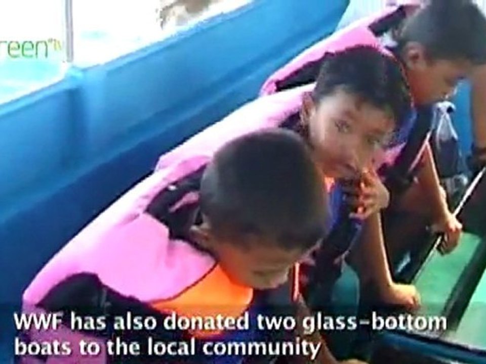 Protecting Turtles in the Coral Triangle.