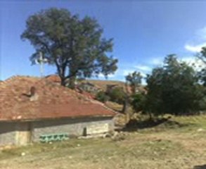 acirli bag bozumu ve son bahar resimleri Merhamet Utangan dan