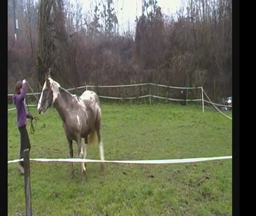 Aloha 8 janvier 2012 (1)